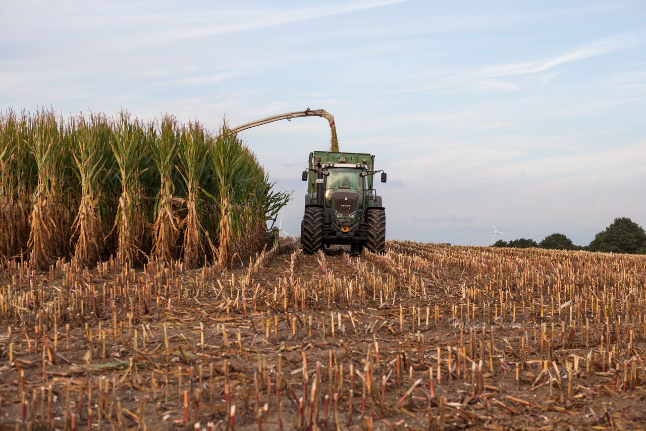 Bild 88 - Maisernte 2016